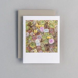 A2 Folded Card - mini succulents