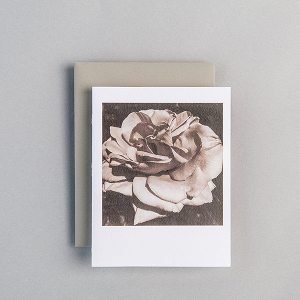 A2 Folded Card - spring rose