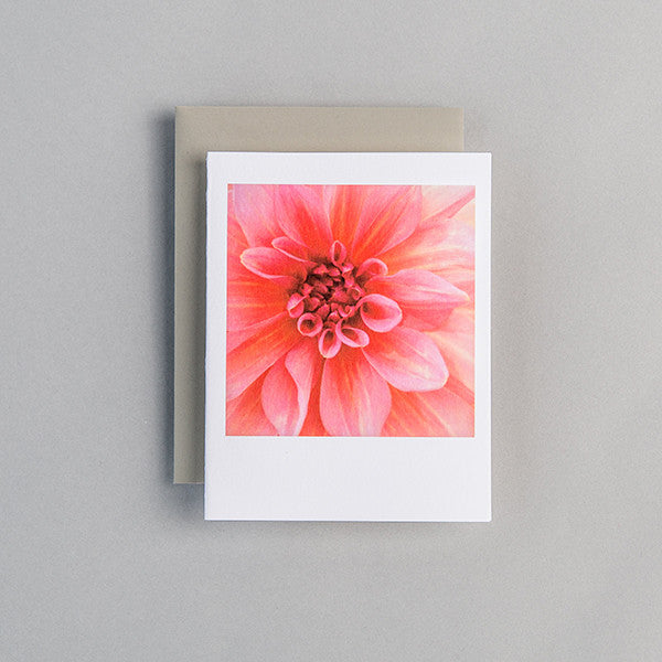 A2 Folded Card - stunning pink