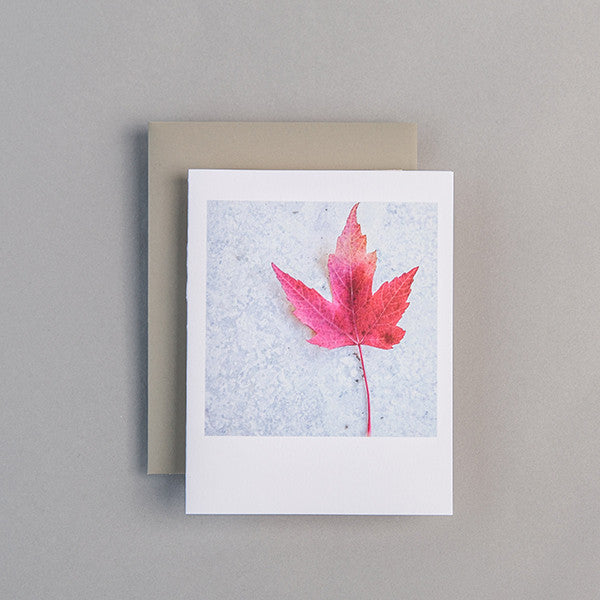 A2 Folded Card - red leaf